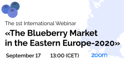 The Blueberry Market in the Eastern Europe – 2020